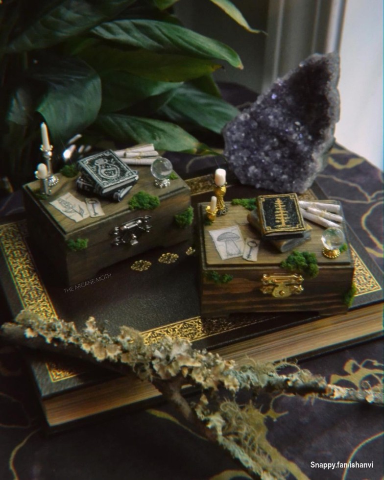 "Small wonders for curious minds."